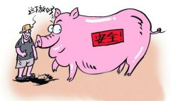 動物疫病診斷的方法有哪些？