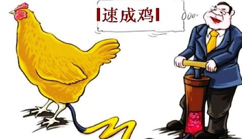 為什么會有獸藥殘留？