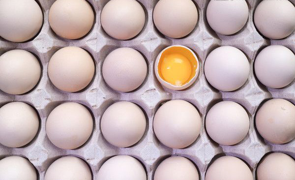 獸藥殘留檢測儀