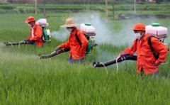 農(nóng)藥殘留檢測(cè)儀檢測(cè)速度快嗎？