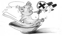 獸藥殘留的來源通常有哪些？