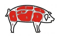 病害肉檢測儀讓老百姓吃上放心肉！