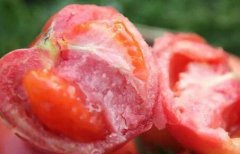 為何建議超市配備食品安全檢測儀？