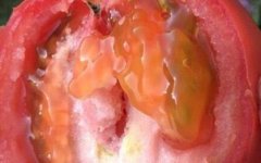 農(nóng)殘快速檢測(cè)儀如何做到保障農(nóng)產(chǎn)品安全的？